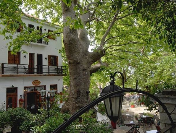 Kritsa Gastronomy Hotel - Πορταριά Πηλίου